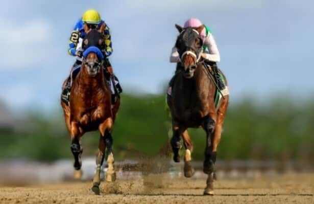 Eclipse Awards: Making the cases for older-dirt champions