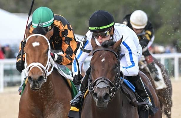 Tampa Bay Downs roundup: DQ lifts Naughty Rascal in Pasco