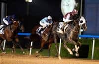 Need to Know trained by Ali Rashid Al Rayhi and ridden by Tadhg O’Shea win the featured Gulf News Conditions race at Meydan Racecourse on Thursday November 17, 2016
