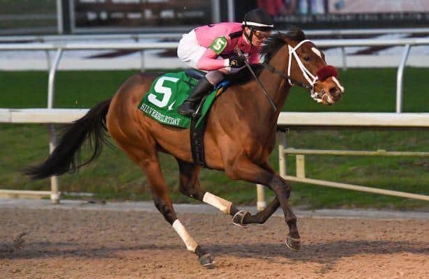 Needs Supervision, Positive Spirit meet in Rachel Alexandra Stakes