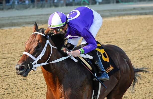 Jockey jerkins clearance