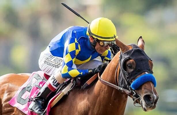 These are the weekend's 25 fastest stakes winners