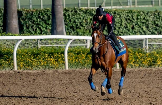 Workouts: 40 graded winners include Breeders’ Cup breezes