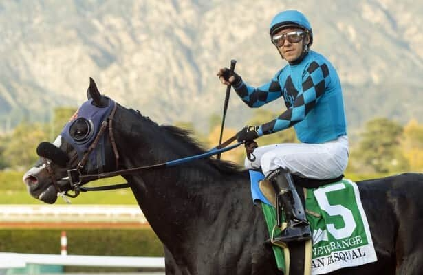 Newgrange is added to Pegasus World Cup final invitations