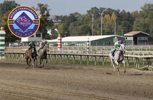 Breeders’ Cup 2024: Is the Classic or the Turf next for Next?