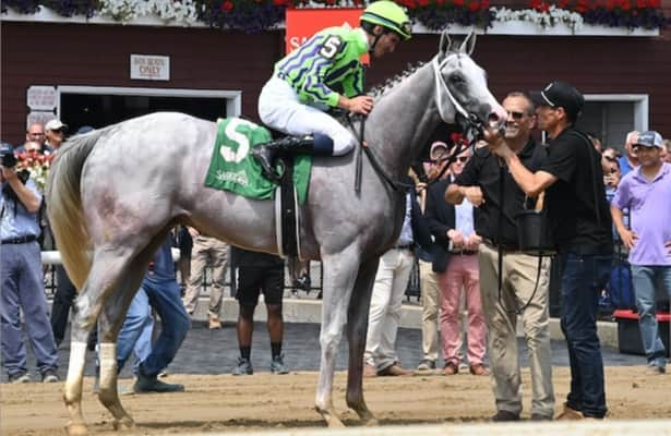 Wednesday works: 15 graded-stakes winners are on the tab