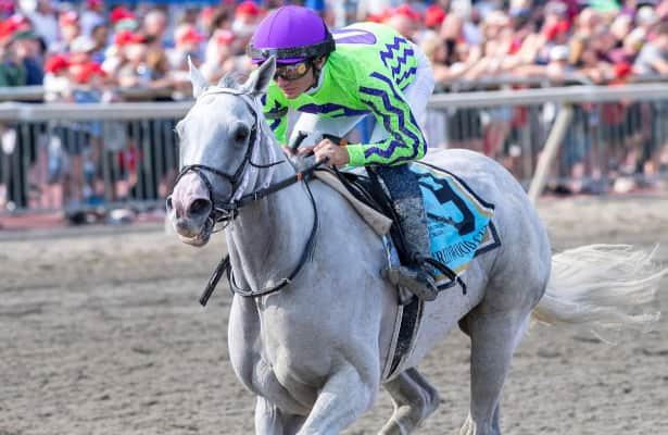 Parx roundup: Next, Smooth B win undercard stakes