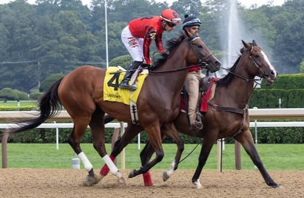 Horses to Watch: 2 to follow in Tampa Bay Downs stakes