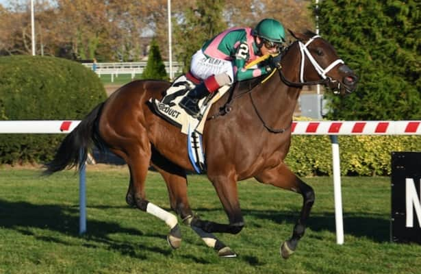 Aqueduct: No Mo Candy upsets Pebbles in 1st graded start