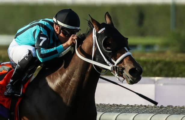 Thursday works: Nobals leads 9 graded-stakes winners on tab