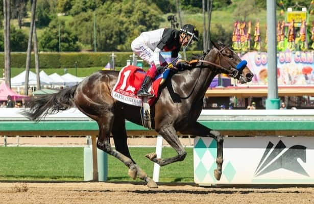 Santa Anita: Nothing Like You leads field of 4 in Summertime Oaks