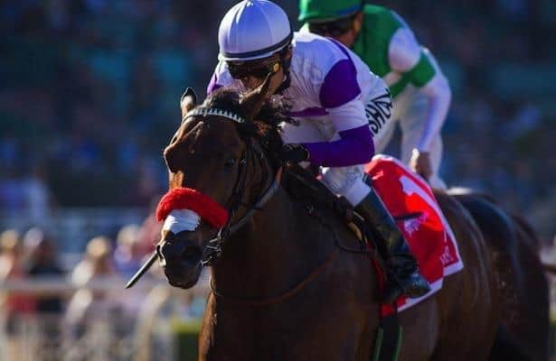 Kentucky Derby 16 Early Morning Line Odds