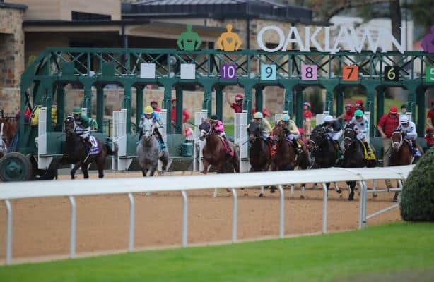 Fastest horses: These are Friday