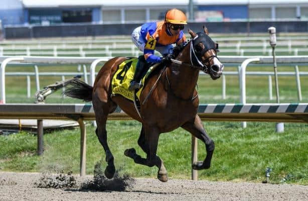 HORSE RACE　モンチッチ　2体　レーシングホース Speed figures: See Saturday's most impressive winners