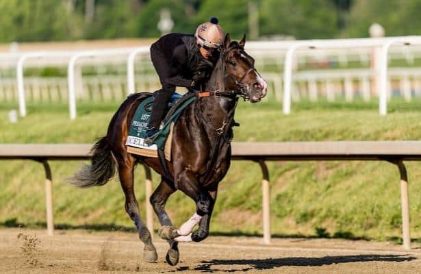 Beckman weighs options for Ocelli's next start