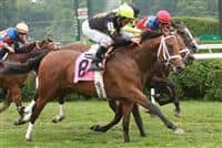 Optimizer with jockey Robby Albarado wins a Maiden Special Weight for 2 year olds at Saratoga Race Track..