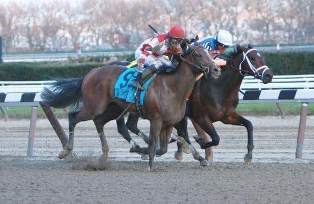 Fast Anna and Normandy Invasion Spice Up Delaware Handicap Day