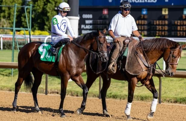 Kentucky Derby trail 2025: Sam F. Davis odds and analysis