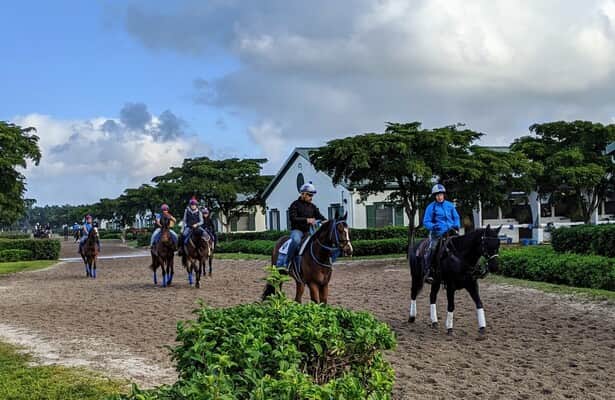 Palm Meadows main track reopens Thursday after repairs