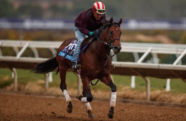 Barn Tour: Casse on what's next for his Breeders' Cup starters