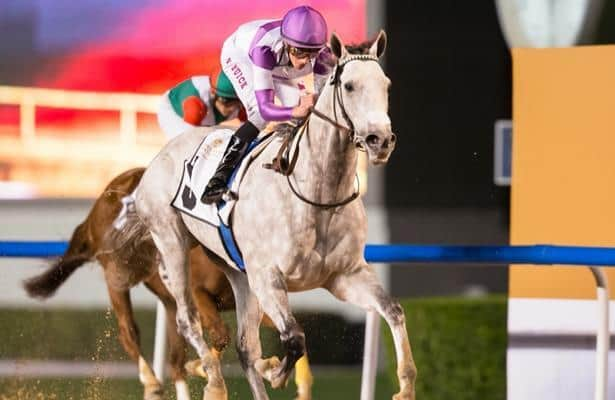 Parsimony Steps Toward Dubai World Cup With Curlin Stakes Win 5880