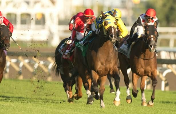 Woodbine: Patches O’Houlihan faces 5 in Kennedy Road