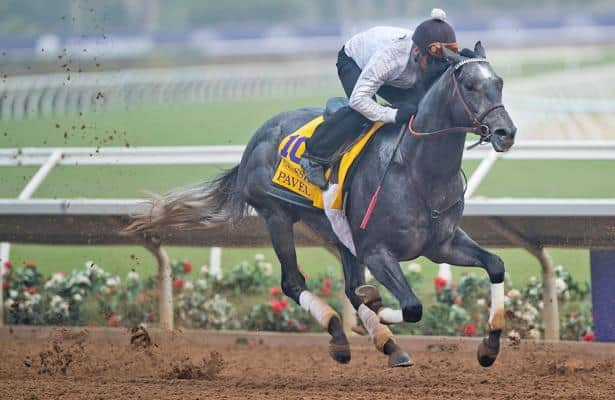 Stakes Tracker: Who's running in the Pegasus World Cup Turf?