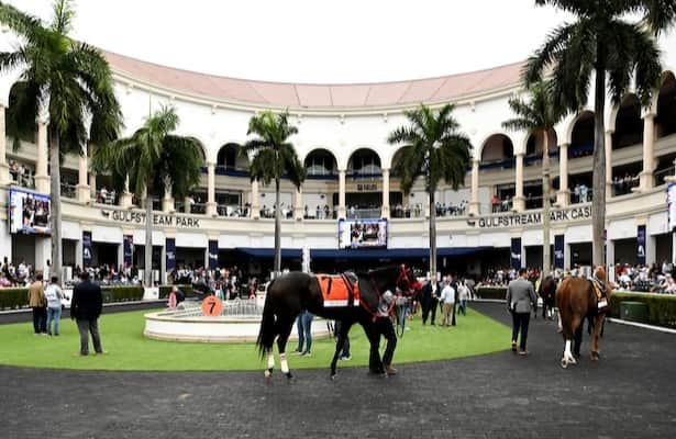 First Look: Pegasus World Cup + 7 other graded stakes