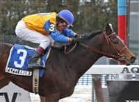 Peppi Knows takes the 2010 Whirlaway at Aqueduct
