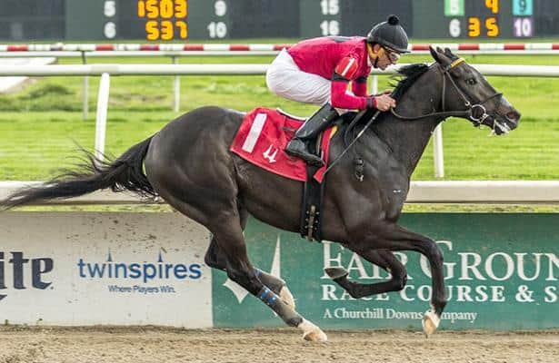 Pirate's Punch aims for redemption, Breeders' Cup bid in Salvator Mile
