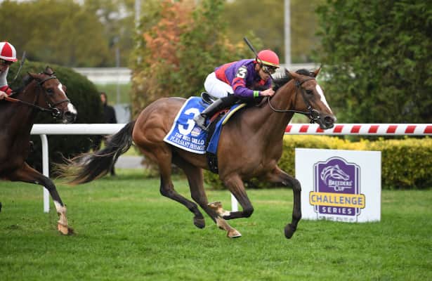 Pleasant Passage wins Miss Grillo, earns Breeders' Cup berth 