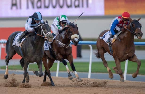 Plus Que Parfait rebounds to win UAE Derby; on to Kentucky?