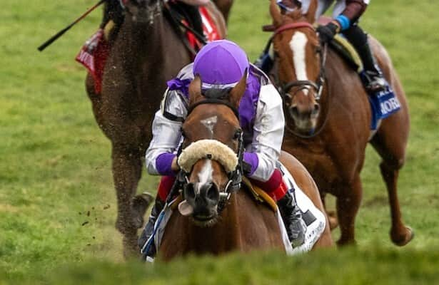 Poolside With Slim leads oversubscribed Mrs. Revere at Churchill