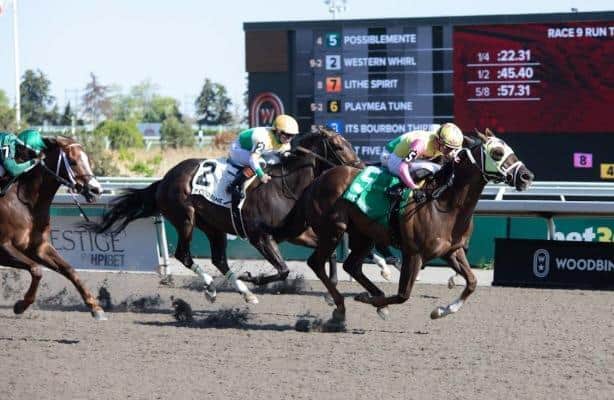 Possiblemente rallies to win Jacques Cartier at Woodbine
