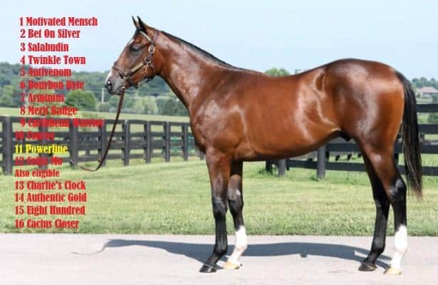 Kentucky Derby ’27: Dreams live in Saturday’s 1st at Churchill