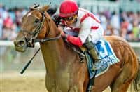 /horse/Practical Joke siblings