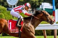 /horse/Practical Joke siblings