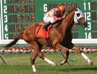 Presious Passion and Elvis Trujillo run away with the 2009 United Natons