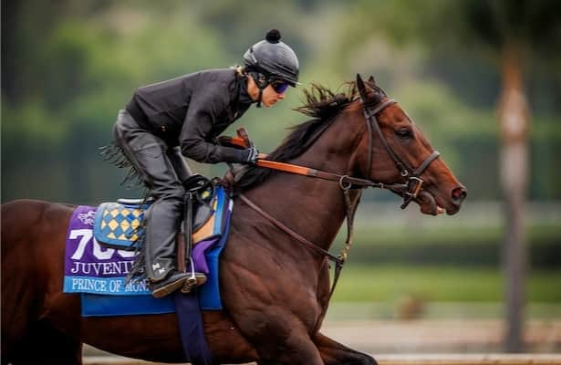 Prince of Monaco will stand at Claiborne Farm upon retirement