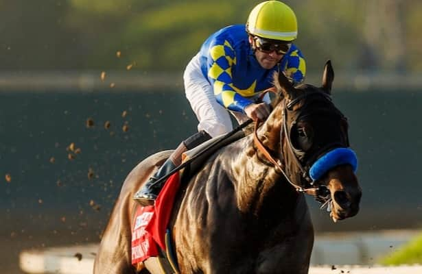 Grade 1 winner Prince of Monaco is retired to Claiborne Farm