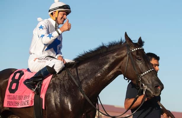 Matriarch Stakes 2021: Odds, preview, pace projection, more