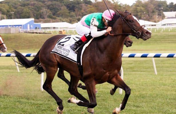 Projected tops 1-2 finish for Brown in BWI Turf Cup