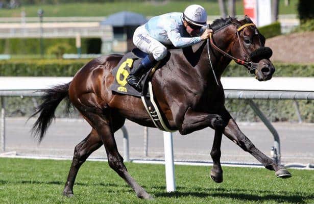 Sise expects Prospect Park to stalk the pace in Californian