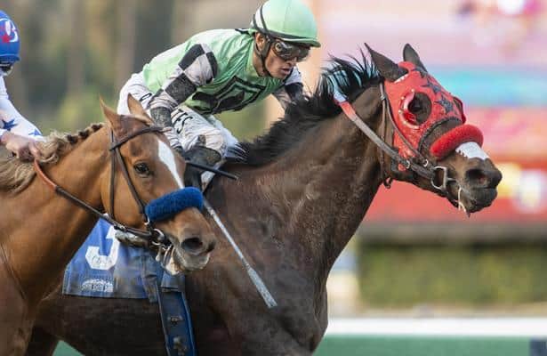 'Gritty' Queen Bee to You ekes out a win in Santa Anita's La Canada