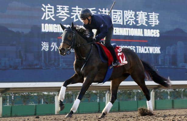 Queens Ring looks to become sixth female to win Hong Kong Cup