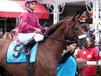 Andromeda's Hero before the G1 Woodward Stakes (2006) at Saratoga with Fernando Jara in irons.