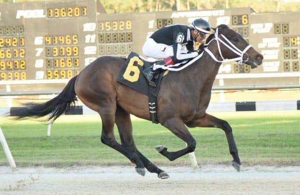 Competitive fields for Skyway Stakes at Tampa Bay Downs