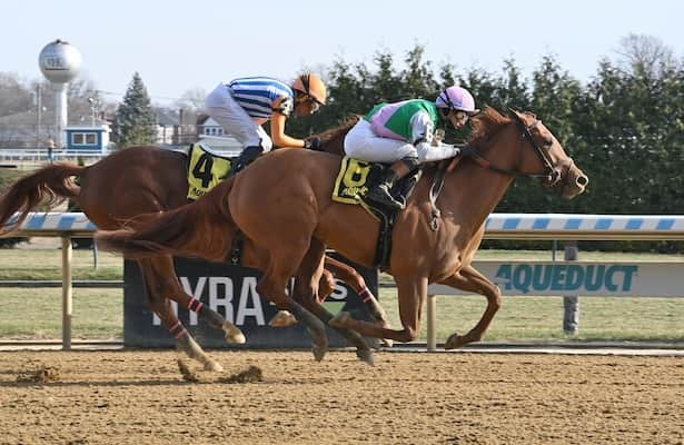 Ky. Oaks trail: Brown’s Ramify leads Busanda in stakes debut