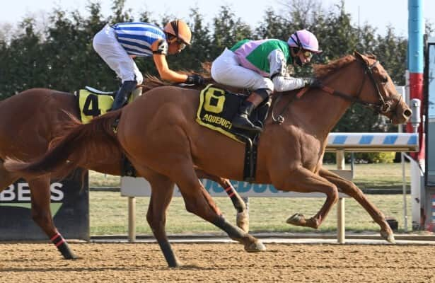 Kentucky Oaks prep: Ramify makes stakes debut at Aqueduct