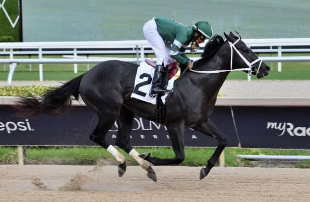 Gulfstream Park: Rated by Merit is 3-for-3 after winning Affirmed